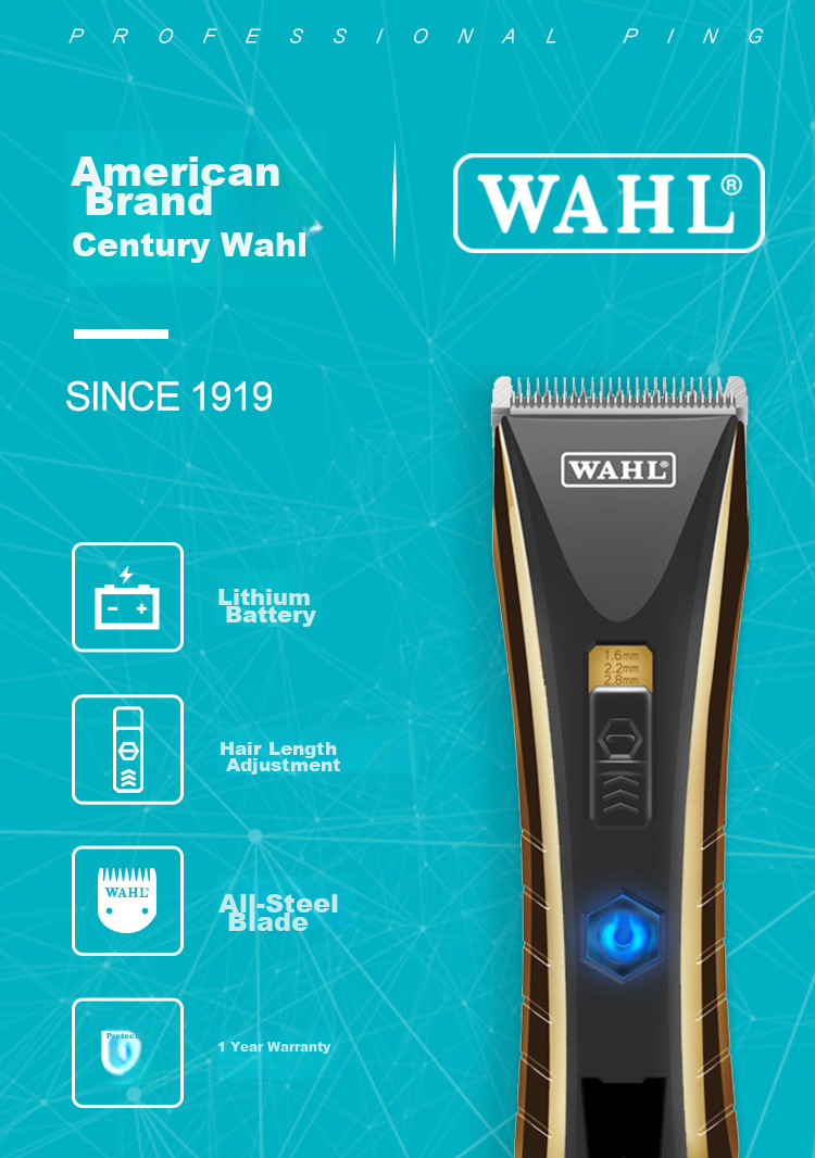 WAHL Electric Hair Clipper for Adults And Children, Professional Hair Trimmer for Barbershops, Model 2222 Graduation Gift 2