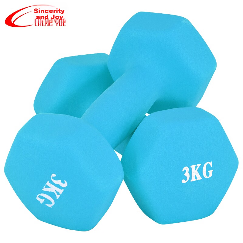 Chengyue Color-Coated Dumbbells for Men And Women, Home Fitness Shaping Equipment Set, 3kg*2, Calming Blue Color CY-136