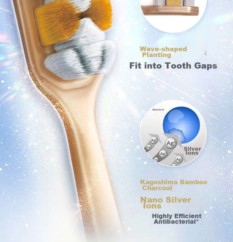 Lion Fine Bristle Cleaning Toothbrush, Small Head, 2-Pack, Soft Bristles, Elastic Handle, Random Color 14