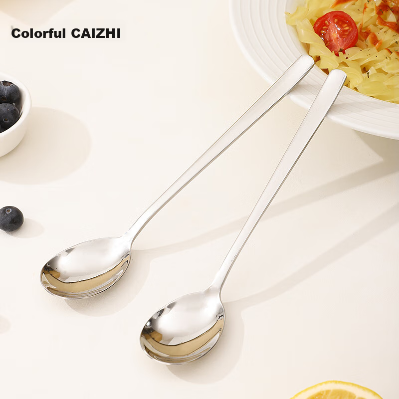 CAIZHI 304 Stainless Steel Spoons, Large Household Soup Spoons, Eating Spoons, Long-Handled Round Spoons, Set of 2, CZ6800