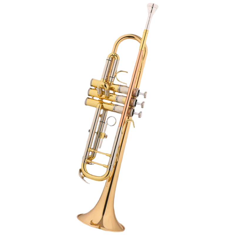 Jinbao JBTR-430 Small Instrument, B-Flat Key, for Children Beginners, Students Performance And Grading, Brass Western Wind Instrument