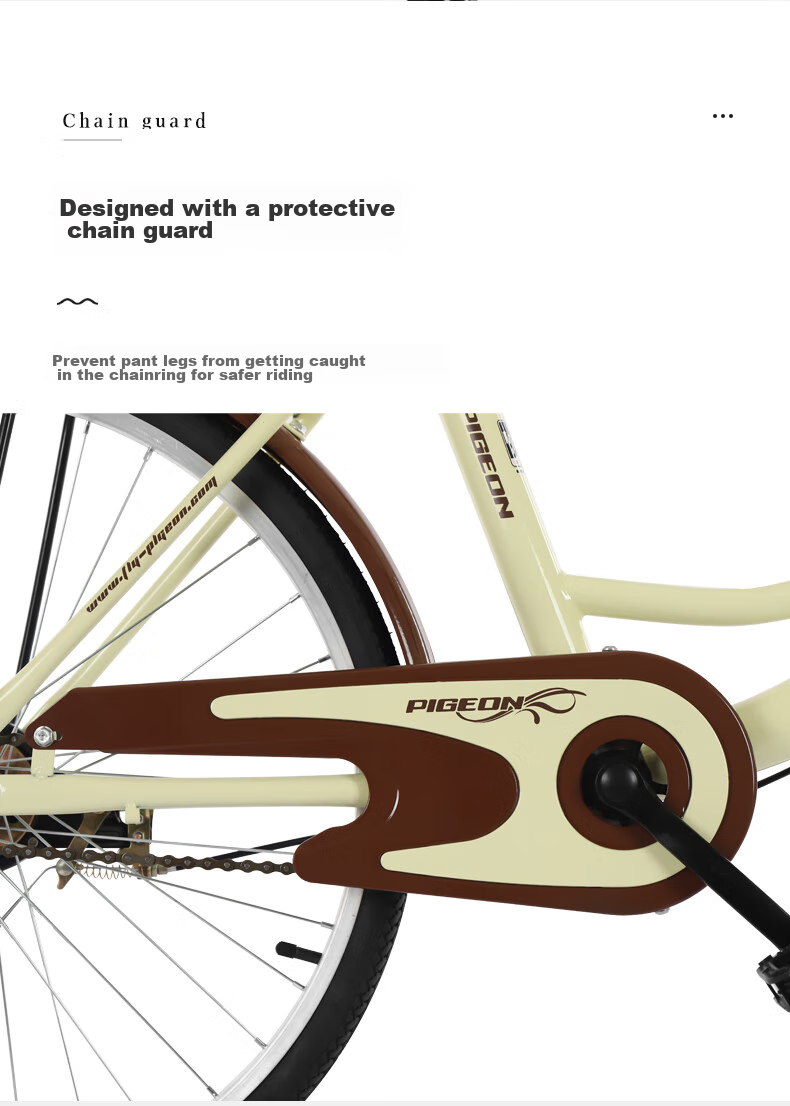 FG FLYING PIGEON City Bicycle, 24-Inch, Tubeless Solid Tire, Commuter Bike for Men And Women, Adult Student Urban Retro Style 10