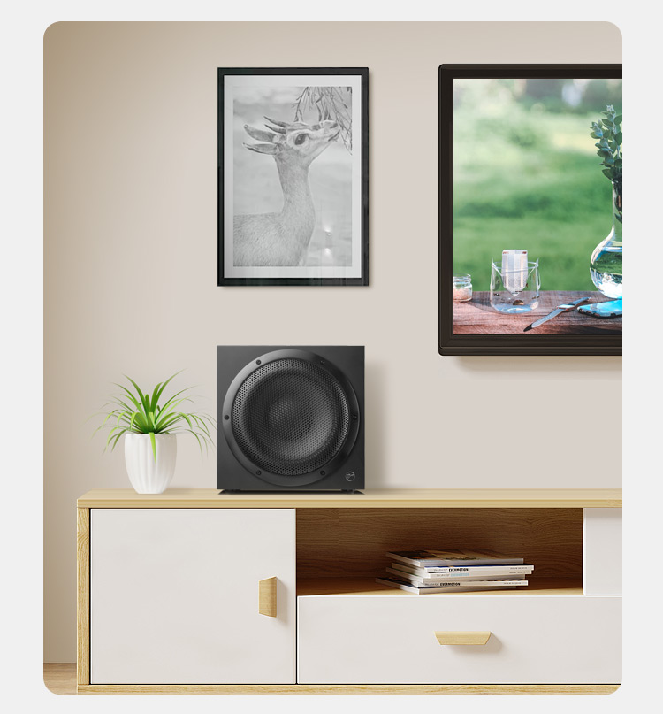 HiVi Sub10G Subwoofer Speaker, Home Theater Active Subwoofer, Living Room Audio System, 10-Inch Speaker, Wooden Constructio 7
