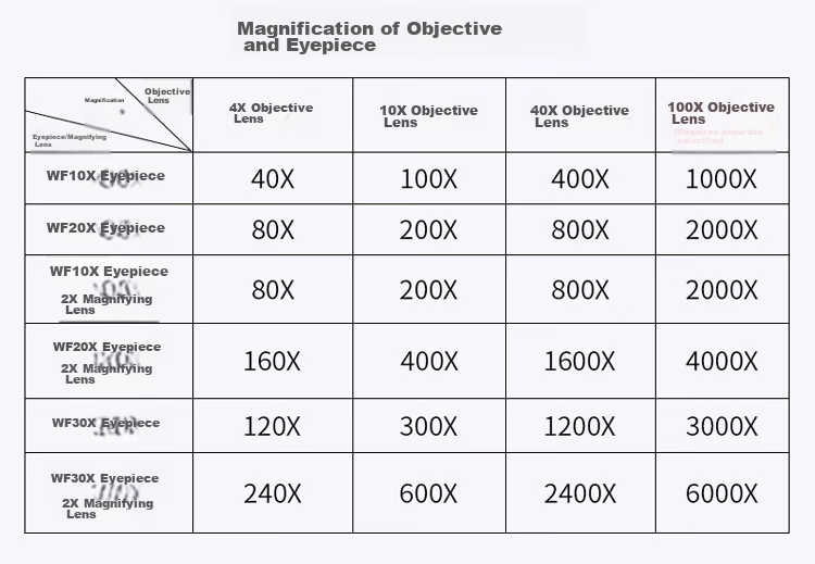 StarMICRO Biological Microscope Accessories, Specimen Slices, Experimental Kit for Insects, Animals, Plants, Human Tissues And Cells, 48 Pieces 5