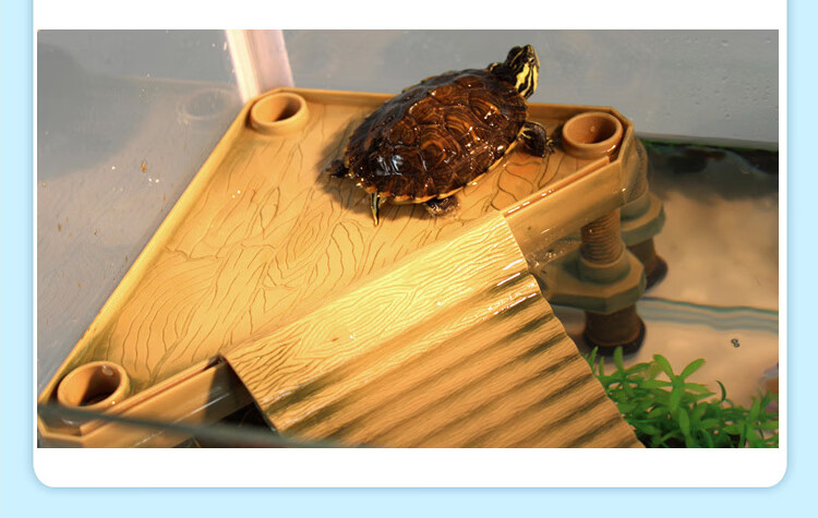 乌龟晒台爬台鱼缸乌龟晒背台晒龟台楼梯漂浮台浮岛石头高水位爬架台养