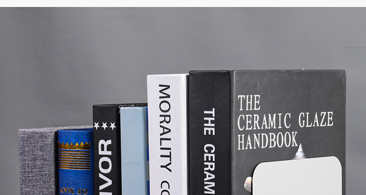 DiLe 2-Piece Minimalist Metal Bookends, Detachable Desktop Organizer for Students, Creative Ins-Style Shelf Divider 15
