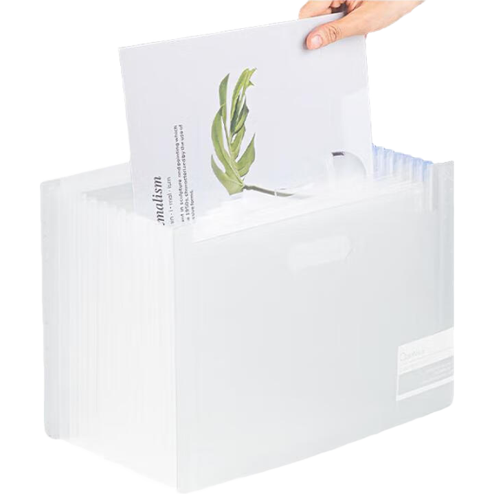 Deli 13-Slot A4 Vertical Stand-Up Accordion File Folder, Multi-Layer Document Organizer, Exam Paper Storage Bag, Tutoring Bag, File Protector, 72510 Transparent