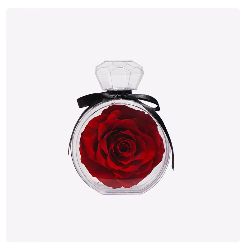 SWAROVSKI CONNEXUS Necklace for Women Birthday Gift for Girlfriend 5741332 17