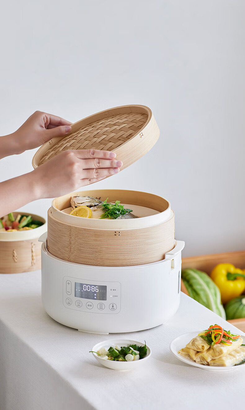 Olayks Steamer Bamboo And Wood Steaming Pot Electric Steamer Multi-Functional Breakfast Machine for Home Use Quick Heating No-Drip Timer Adjustable Temperature Upgrade Version 2-Layer 14