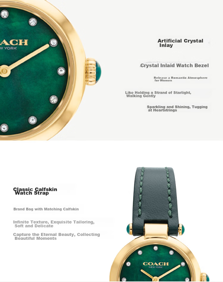 COACH CARY Series Women's Watch with Leather Strap And Quartz Movement 14503951, Recommended by Kong Xue'er, Mid-Autumn Festival Gift/for Gifting 5