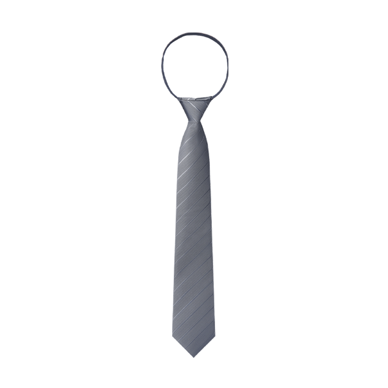HLA Men's Pre-Tied Striped Necktie, Fashionable New Style Wedding Couple Date Gift for Boyfriend Husband, Gift Box Set Business