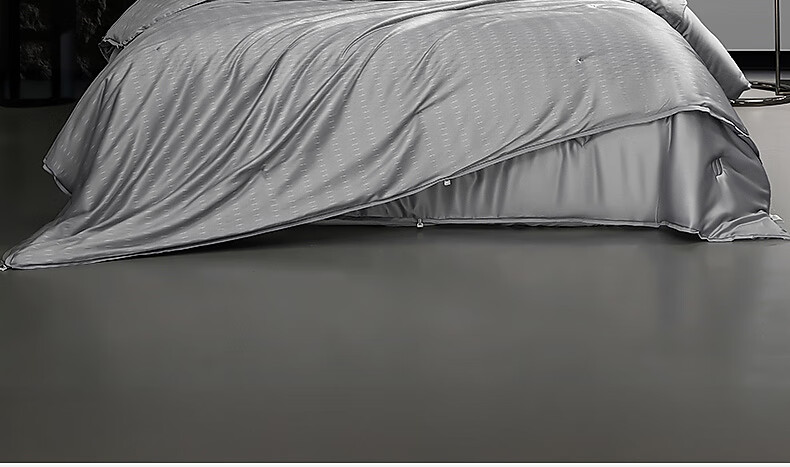 Shuixingjiafang Silk Comforter, 100% Silk Winter Quilt, Winter Double-Layer Quilt, Two-In Duvet Insert, Approximately 8.8 Jin, 200×230cm 3