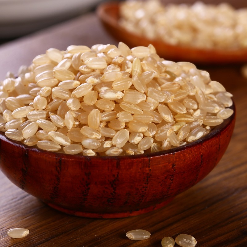 格琳诺尔 有机糙米1斤（五谷杂粮 粗粮 真空装  大米 粥米伴侣）