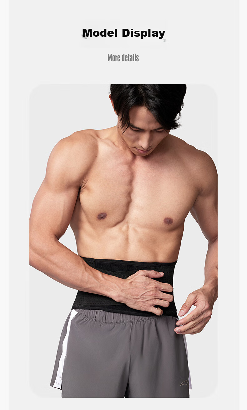 ANTA Waist Support Belt for Herniated Disc, Prolonged Sitting, Lumbar Muscle Strain, Lumbar Pain, Back Brace, Waist Protection, Back Support, Size L 11
