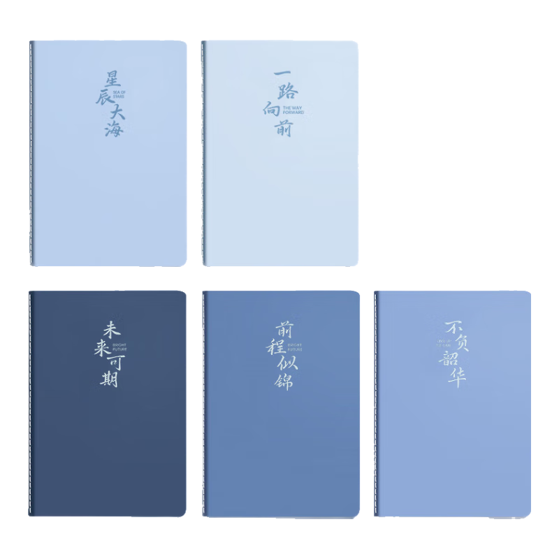 Shuxing A5 Notebook 40 Sheets Simple Softcover Study Journal for Graduate, Middle and High School Students, Sewn Binding Exercise Book, Lined Thick Notebook, Set of 5 "Passing Years"