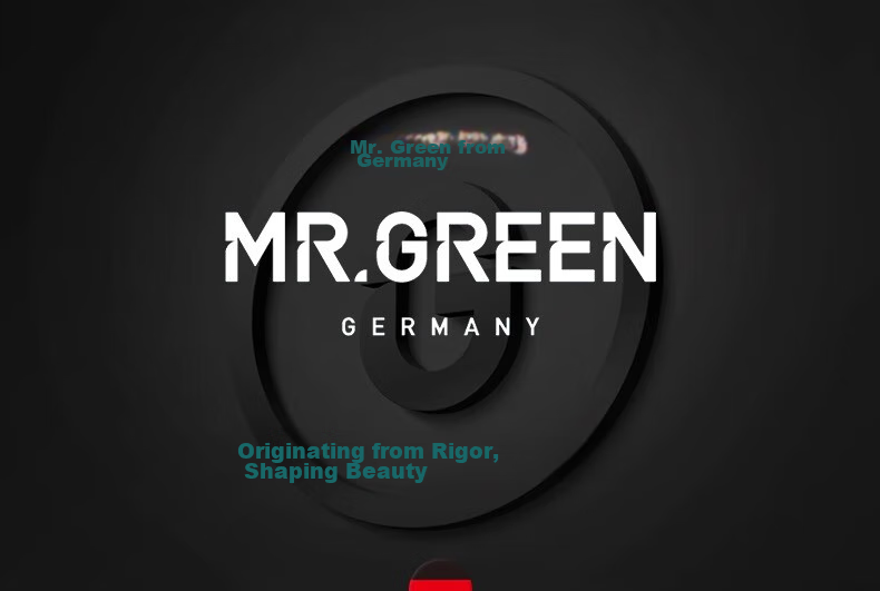 MR.GREEN German Tweezers Hair Removal Eyebrow Pluckers Beard Pluckers Armpit Hair And Gray Hair Removal Tools, Imported Stainless Steel Mr-2168NI 1