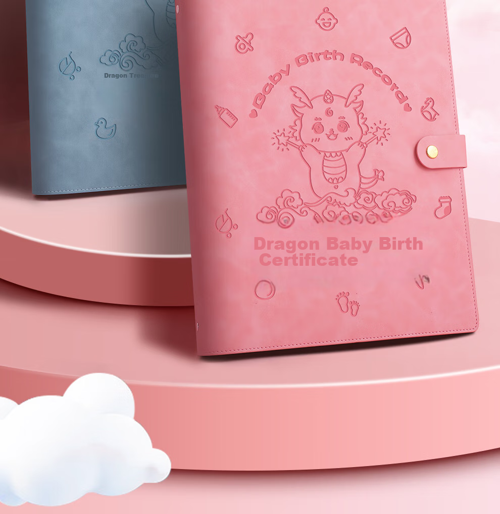 Jiaranheng Pregnancy Check-Up Organizer, Prenatal Report A4, Pregnancy Record Book, File Storage Bag, Loose-Leaf Portable Ultrasound Examination Form, Document Folder, Large Capacity Collection Book, Pink 2