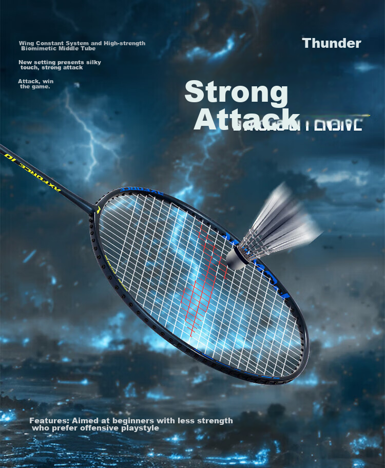 Li-Ning Badminton Racket, Leiting 10, Dark Purple Blue, 5U Unstrung Racket, AYPU109-5 2
