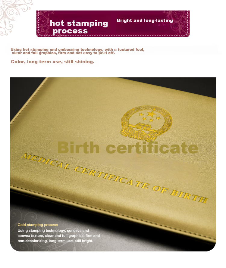 DSB Birth Certificate Protective Cover + Vaccination Record Book Cover, Baby Medical Document Outer Case (Set of 2), Thickened, Gold Color 5