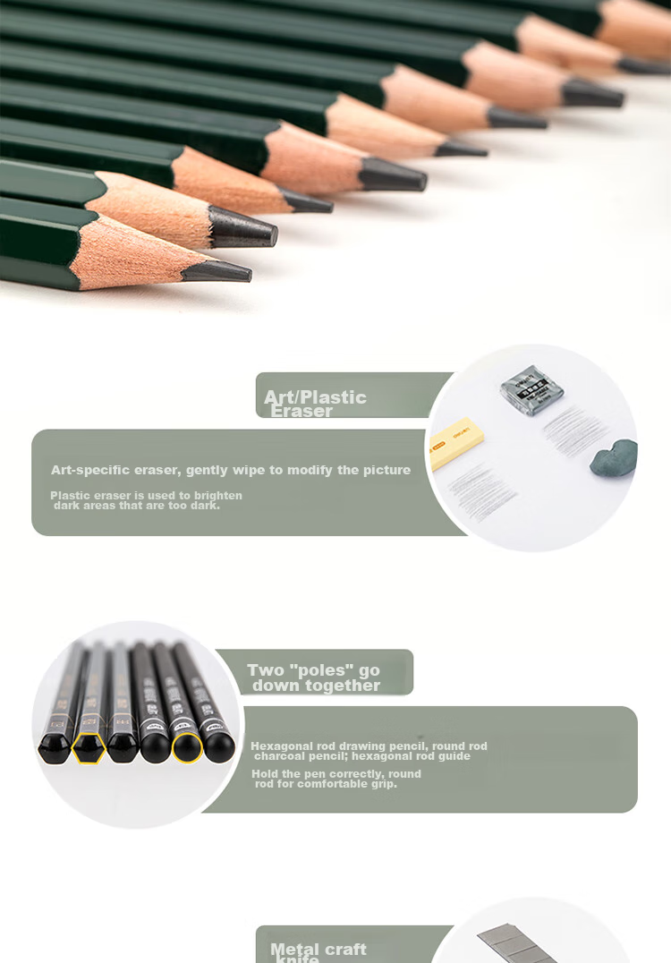 Deli Medium-Grain 12-Pack Boxed 58121 Art Sketching Charcoal Pencils, Graphite Pencils for Drawing, Professional Art Pencils, Hard Core Graduation Gift for Boys And Girls 11