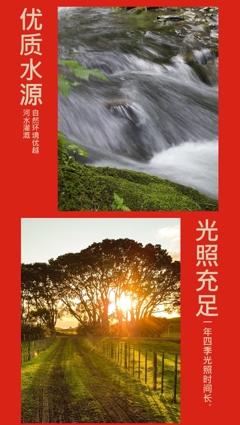 详情图.png