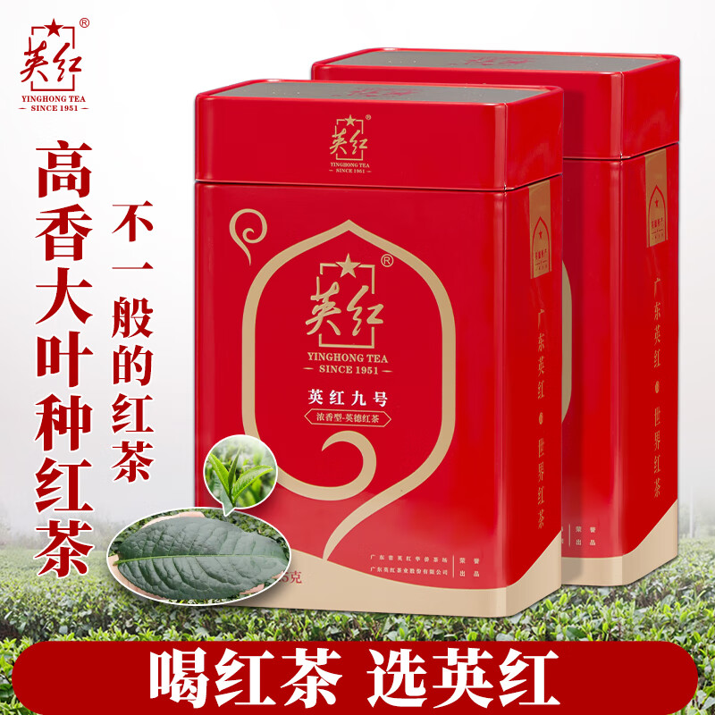 英红牌英红九号红茶浓香型英德红茶茶叶双罐礼袋共250g节日茶叶礼品