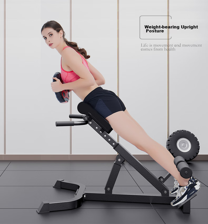 Chishang Roman Chair Back Muscle Trainer, Home-Use Waist And Back Exercise Equipment, Foldable Back Support Device 5