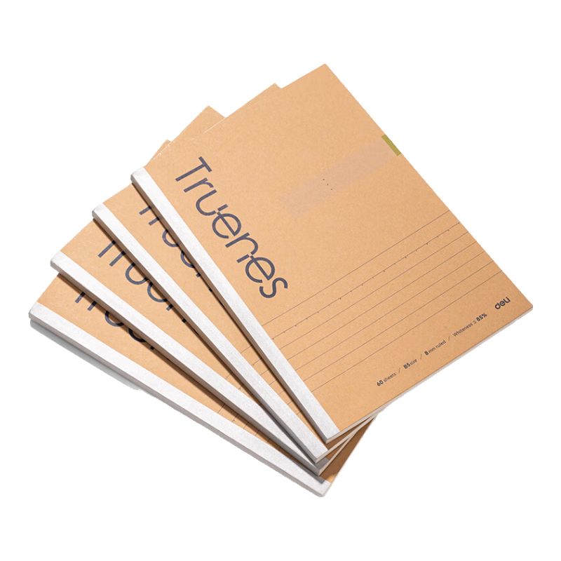 Deli B5/60 Sheets Lined Paper, Smooth Writing Paper, Soft Notebook for Homework And Notes, Office Supplies, Single Book WB560-P