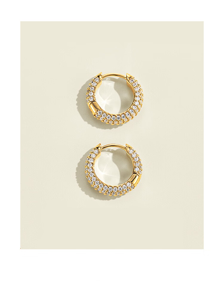DanielWellington [Same As Ma Sichun], DW Earrings for Women, Starry Zircon Rose Gold Stud Earrings, Birthday Gift for Girls 4