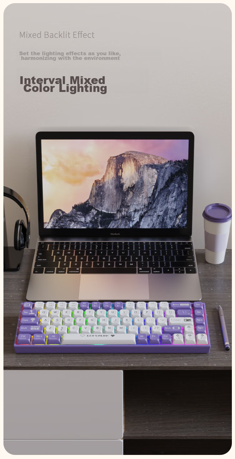 AJAZZ AK680 Wired Mechanical Keyboard, Dual-Color Keycaps, 68 Keys, Full Hot-Swappable, Customizable Mechanical Keyboard, Mixed Colorful Lighting Effects, Portable And Compact, Gray-White, Red Switches 9