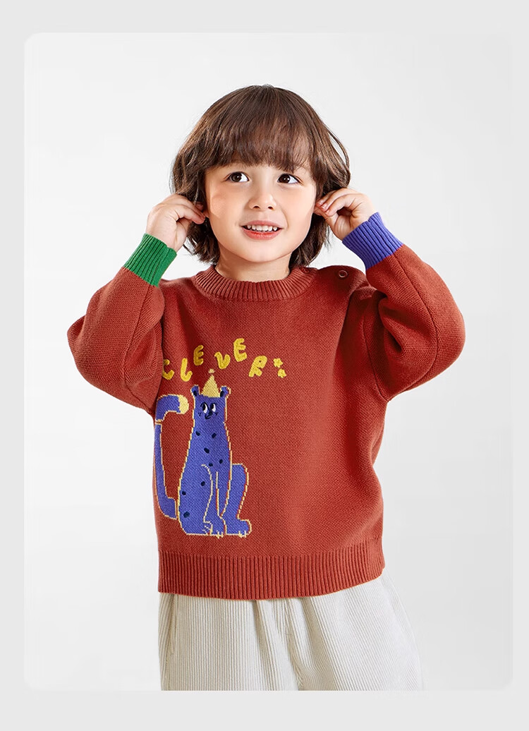 Ciciibear [Anti-Pilling Static Electricity], Ciciibear Boys' Sweater Autumn And Winter Style, Baby Red Children's 2024 New Top Winter Seaso 19