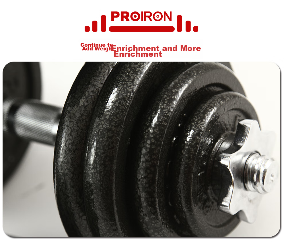PROIRON Puli'ai Barbell And Dumbbell Weight Plates, Cast Iron, for Home Use, Weight Lifting Plates with 2.5 Cm Holes, 1.25 Kg * 4 1