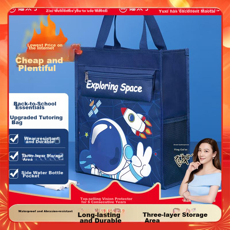 Maotaizi Transparent Mesh Tutoring Bag, Thickened Handbag with Large Capacity for Homework And Documents, Flip-Top Design, Specially for Middle School Students' Exams, Winter Vacation Tutoring Storage Bag, Subject-Specific Tutoring Pouch