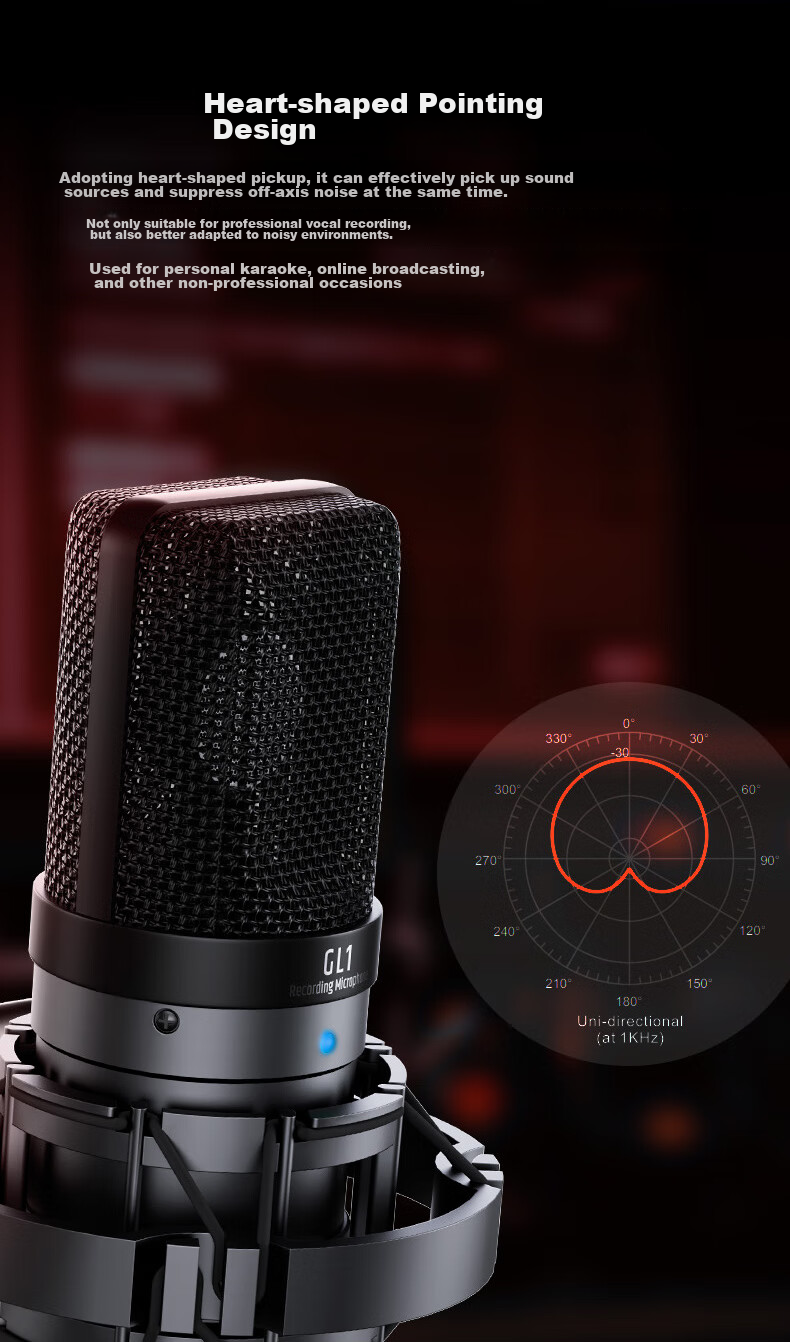 TAKSTAR GL1 Condenser Microphone, Computer Recording And Mobile Phone Live Streaming Sound Card Equipment Set 8