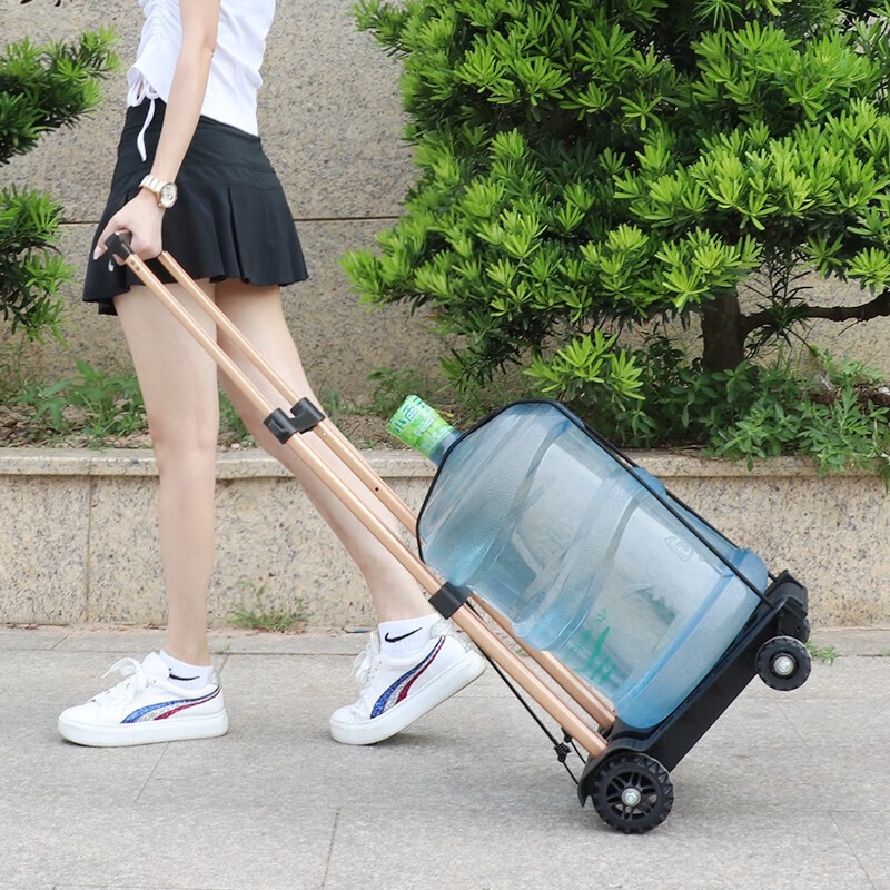 SELORSS Folding Shopping Cart, Hand-Pulled Trolley, Grocery Cart, Pull Rod Cart, Four-Wheel, Weight Capacity 100 Jin (50 Kg), BY04