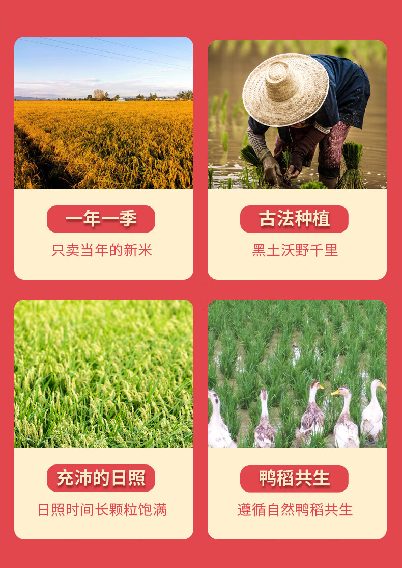 详情图.png