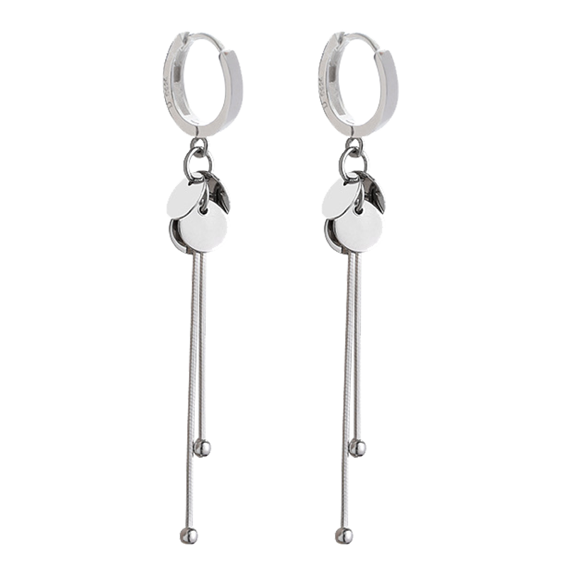 Dijing 925 Silver Long Tassel Earrings, Hoop Earrings, New Style Studs, Birthday Gift for Women, Present for Girlfriend