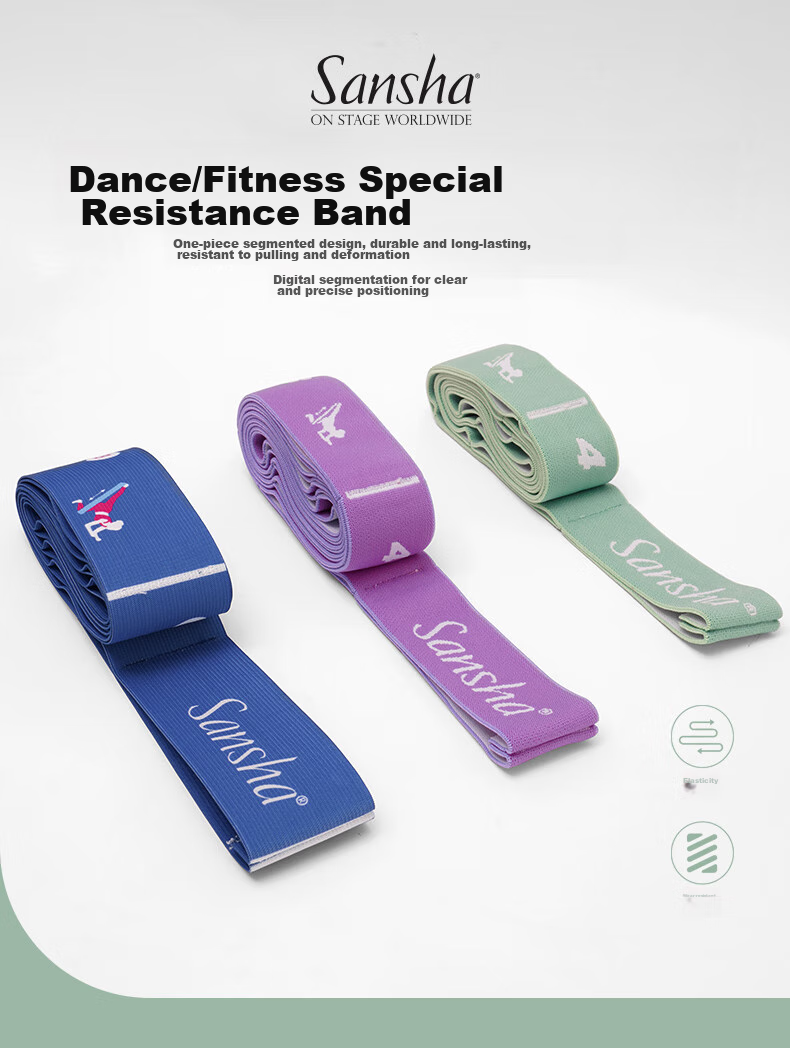 Sansha Children's Dance Elastic Band, Numbered Grid Resistance Band, Ballet Practice And Yoga Stretching Band for Adults, Purple, 11 Grids 1