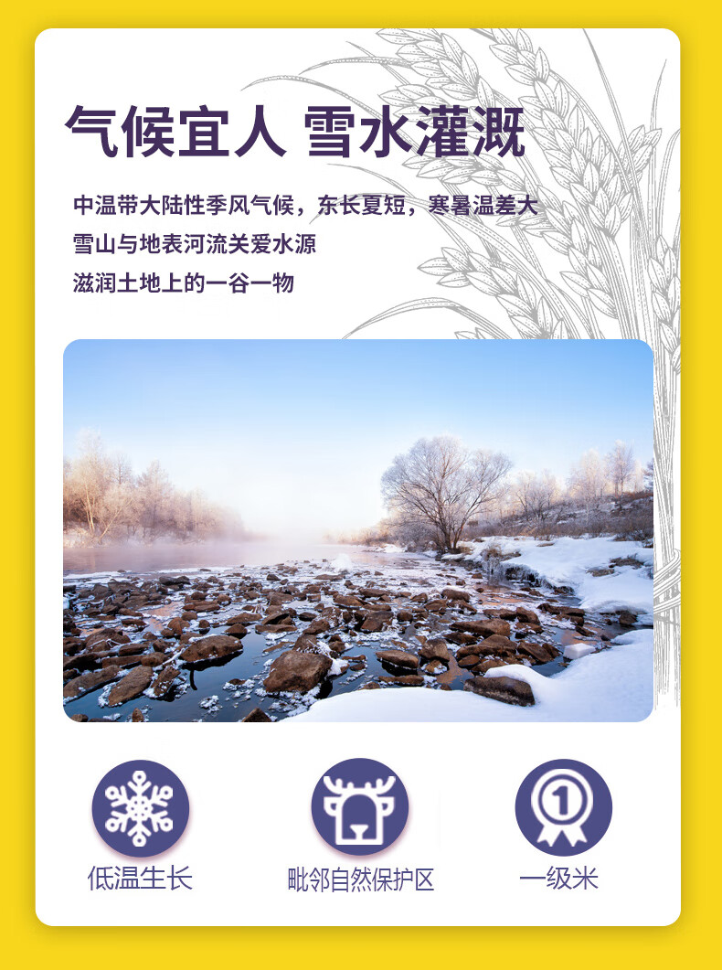 详情图.png