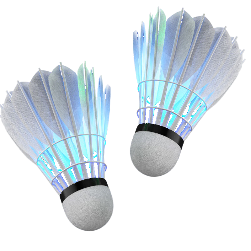 Wanzhuantianxia Luminous Glow-In Badminton Shuttlecocks, Goose Feather, 4-Pack, Durable, Indoor/outdoor, Night Training, Professional Badminton Shuttlecocks