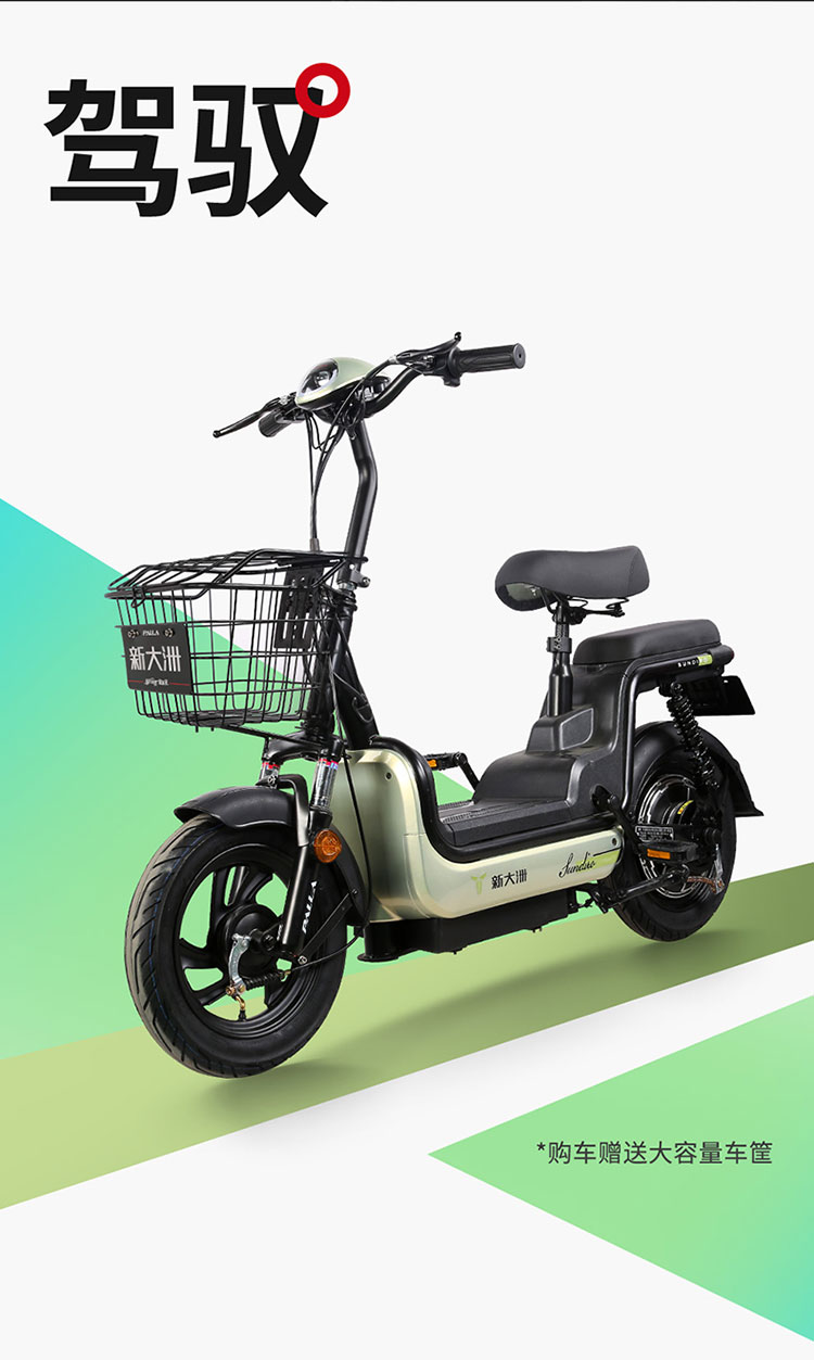 新大洲电动车 palla新国标电瓶车48v20ah高续航成人通用两轮电动