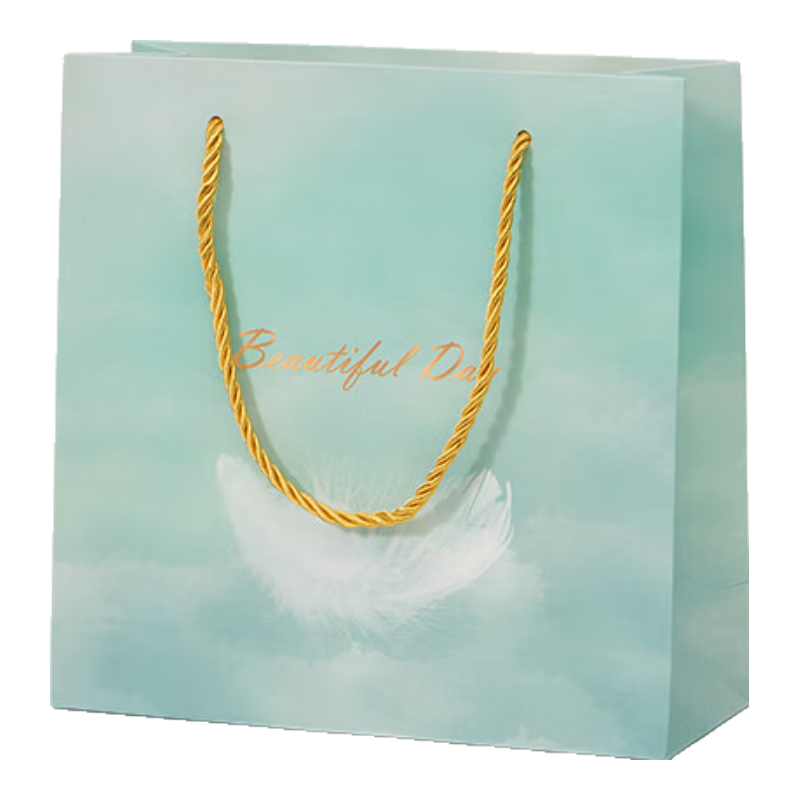Ouliwen Gift Bags, Small And Large Paper Bags for Gifts, Birthday Carry Bags, Children's Gift Bags, High-End Exquisite Packaging Bags, 20x8x20cm, Green Feather, Pack of 5