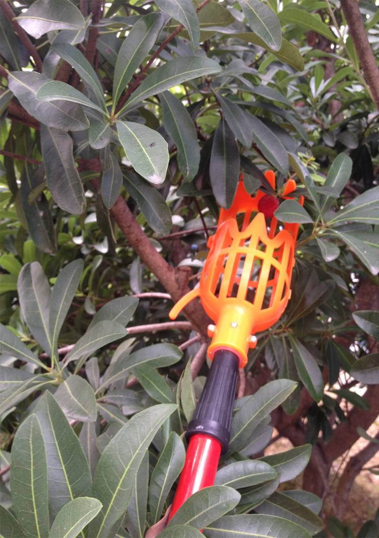 摘果子的神器杨梅手摘杨梅工具高空伸缩杆2米3米摘果器摘水果不锈钢