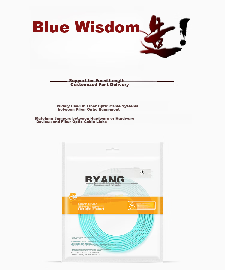 BOYANG , 10 Gigabit Multi-Mode Fiber Optic Patch Cable LC-LC, 25 Meters OM3-300 Dual-Core Patch Cord, Φ2.0 Flame-Retardant Low-Smoke Zero Halogen LSZH Bend-Resistant Fiber Optic Pigtail BY-W25552M 10