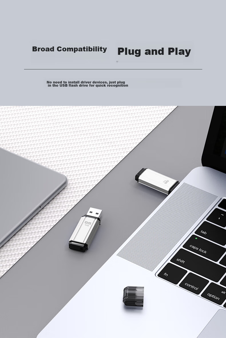 DM Daimai 4GB USB2.0 Flash Drive PD206, Silver, Small USB Drive for Bidding, Enterprise Competition Computer And Car USB Drive 4