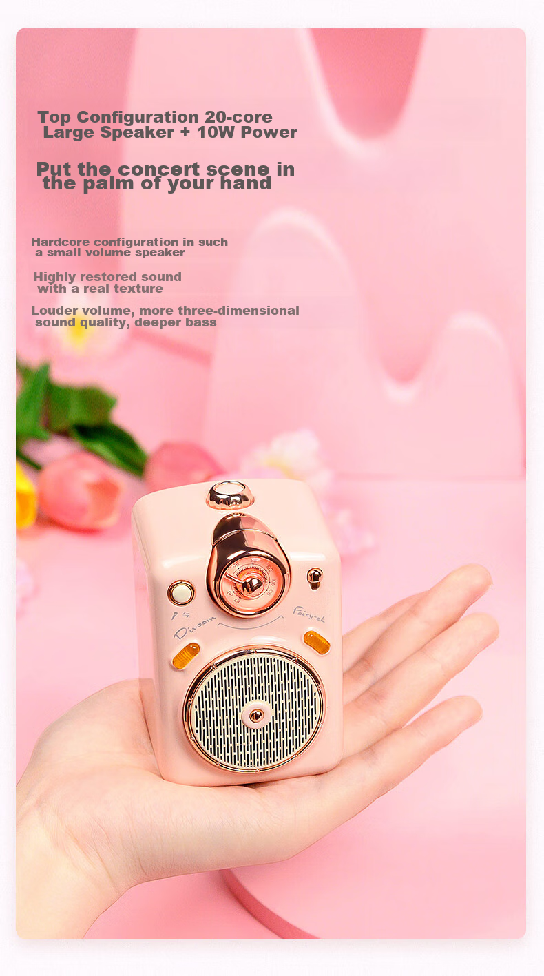 Divoom Bluetooth Speaker with Microphone And Card Slot, Karaoke Speaker, Home KTV Mini Wireless Microphone, Compact Speaker, Gift for Girlfriend Or Childre 4