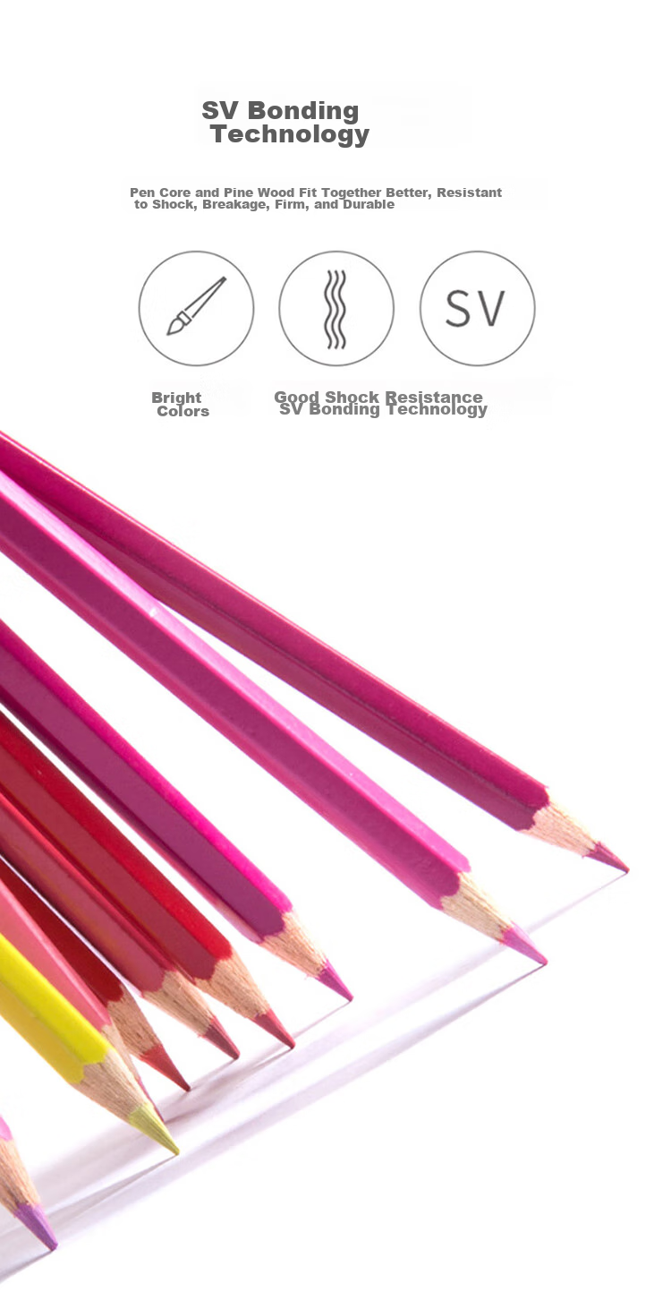 Faber-Castell Oil-Based Colored Pencils, 60 Colors + 60 Holes, Drawing Pencil Set with Pen Holder, 115865 Red Tin Box Packaging, Art Sketching Pencils 8