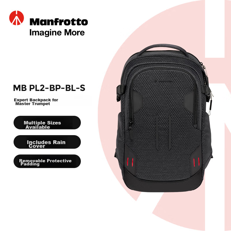Manfrotto Master Backpack, Small Size, Master Series MB PL2-BP Backpack, DSLR Mirrorless Camera Portable Photography Bag
