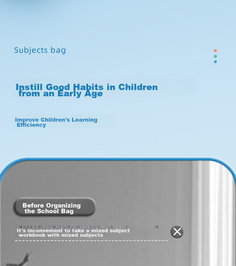 Jinzhi A4/4 Subject Classification Double-Layer File Folder, Elementary School Student Subject Pouch, Book Bag, High School Student Textbook Exam Paper Subject Organizer, Homework Pouch, Study Bag, Back-To Essential 3