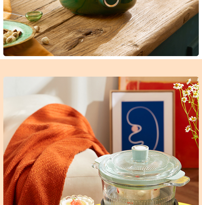 Donlim Electric Stew Pot, Soup And Bird's Nest Double Boiler, Health-Preserving Water Bath Cooker, BB Soup Pot, Small Glass Electric Stew Pot for Nourishment And Beauty, DL-9002 (Forest Green) 9